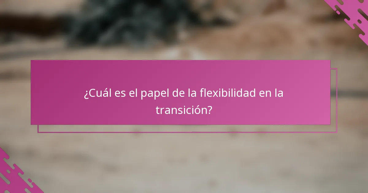 ¿Cuál es el papel de la flexibilidad en la transición?